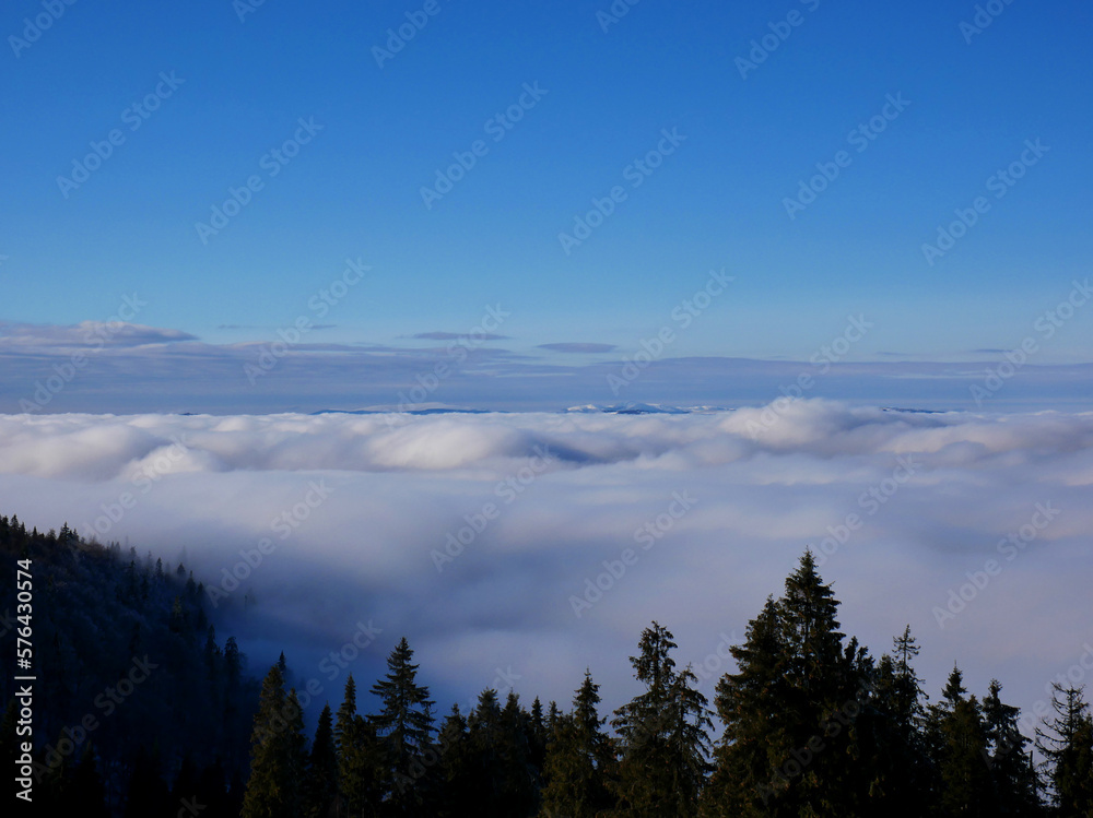 Color image of dense clouds in a mountain valley with a coniferous forest in sunny weather.
