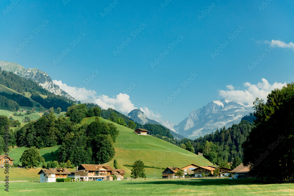mountains green meadows switzerland reserve ecology nature