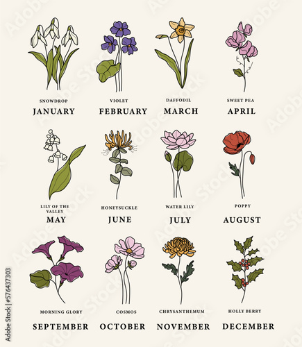 Line art birth flowers set
