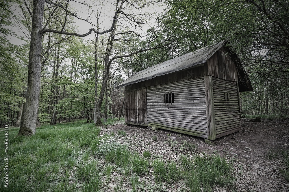 A wooden hut in the forest near Tisnov, Czech republic A wooden hut in the forest near Tisnov, Czech republic