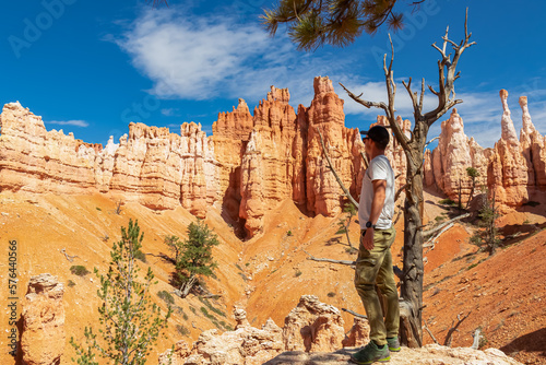 Man standing next to old tree Bristlecone Pine. Scenic view of Pinnacles on Peekaboo hiking trail, Bryce Canyon National Park, Utah, USA. Hoodoo sandstone rock formations in natural amphitheatre
