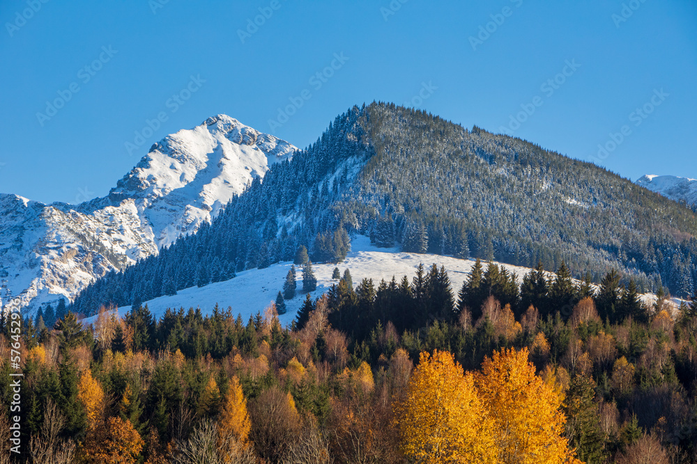 Allgäu - Rotspitze - Herbst - Binse - Schnee