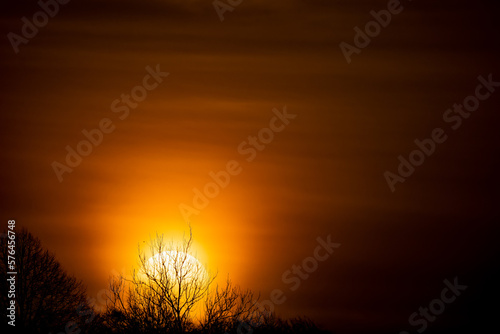 a powerful intense sunrise fills the winter tree top horizon with a fiery blanket of red  orange and yellow  Wiltshire UK
