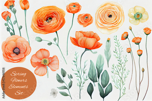 Fotografie, Obraz orange poppy anemone and ranunculus watercolor set illustration of flowers
