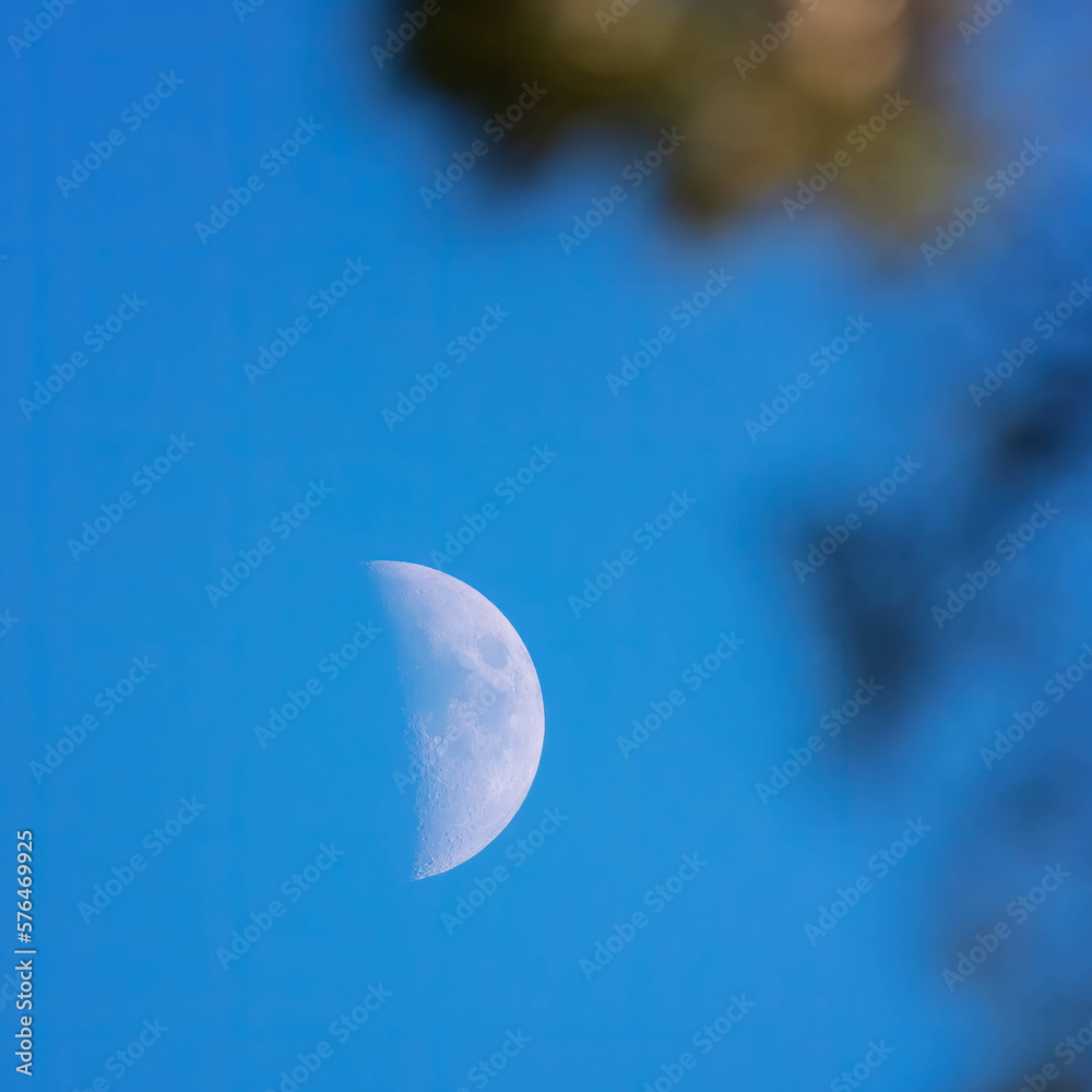 White waxing crescent Moon on noon sky with blurry pine tree brunches in foreground, close up photo White waxing crescent Moon on noon sky with blurry pine tree brunches in foreground, close up photo