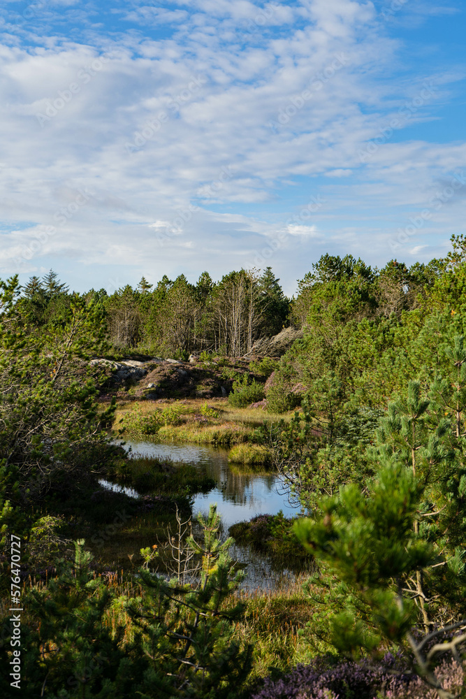 Norway nature