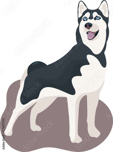 Vector black and white dog Siberian Husky standing and smiling, tongue hanging out. Cute cartoon pet. Domestic animal