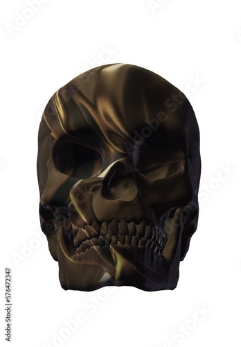 skull  head