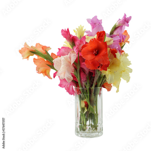 Tableau sur toile Bouquet of gladiolus flowers isolated on transparent background