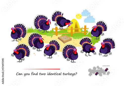 Logic puzzle for children and adults. Can you find two identical turkeys? Page for kids brain teaser book. Task for attentiveness.  IQ test. Play online. Vector cartoon illustration.