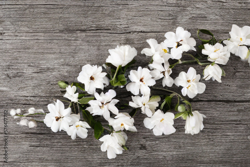 white flowers border on wooden background with copy space for text