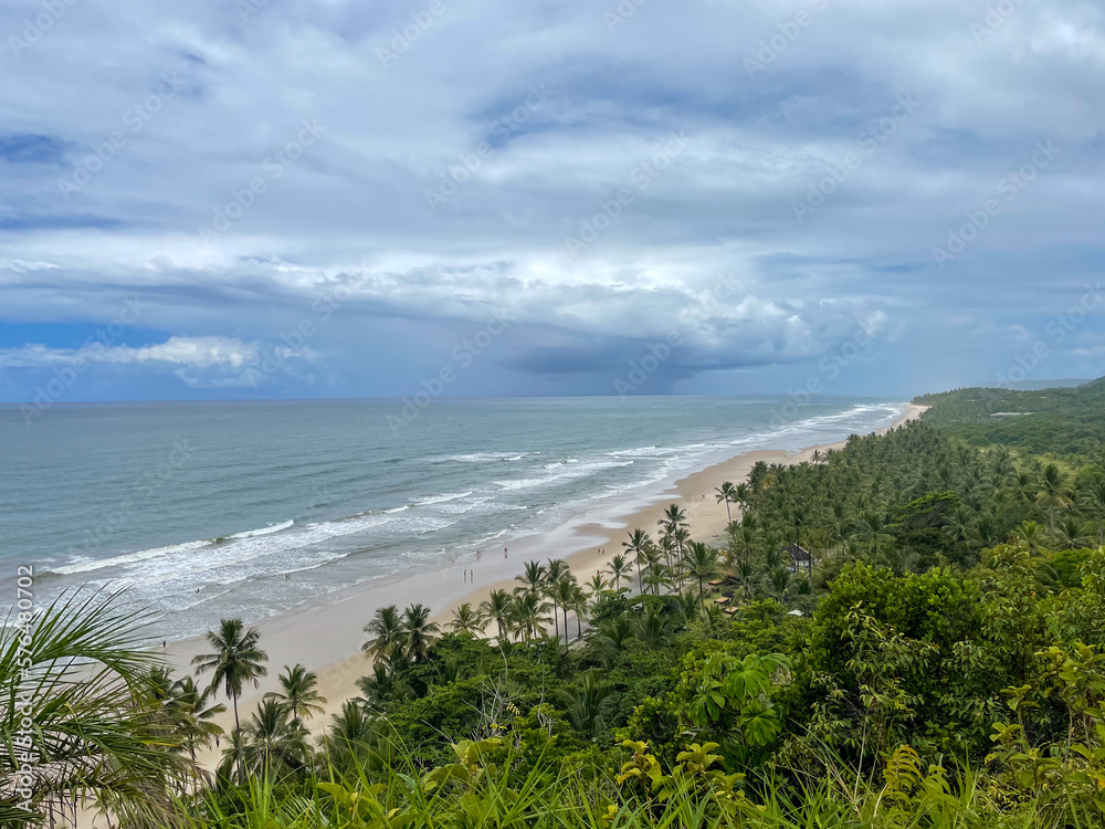 Tall palm trees on the beaches in Itacare, Bahia, on the 4 beaches trail Tall palm trees on the beaches in Itacare, Bahia, on the 4 beaches trail