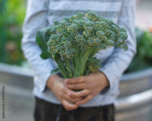 Young boy holding broccoli in garden