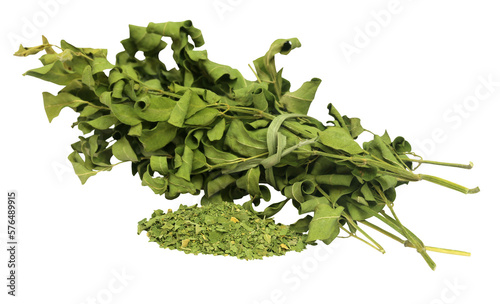 Dried moringa leaves photo