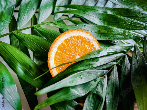 orange with tropical leaves and ice. beauty background