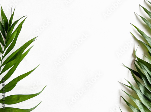 frame with tropical leaves. copy space