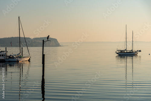 boats in the bay