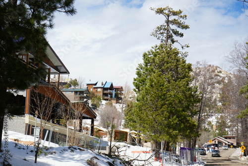 Snowy mountain with pine trees landscapes and natural winter scenes
