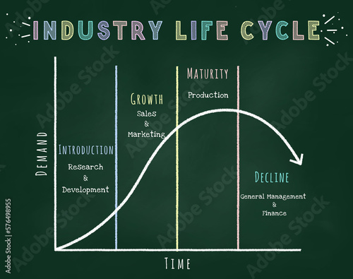 Industry Life Cycle Model - Strategic Business Managemet