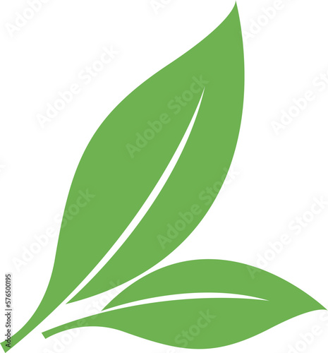 Image of two leaf vector icons