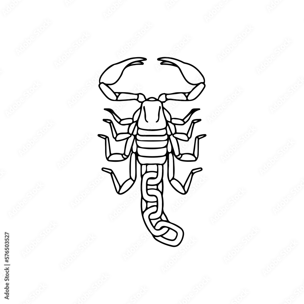 vector illustration of a scorpion with a chain vector illustration of a scorpion with a chain