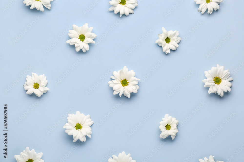 Obraz premium Composition with chamomile flowers on light background