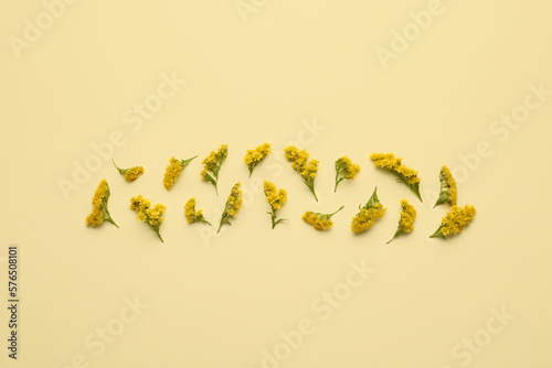 Composition with beautiful mimosa flowers on yellow background