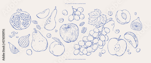 Canvastavla Set of fresh fall fruits sketches