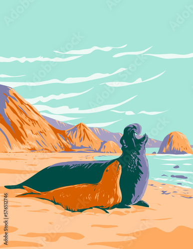 WPA poster art of Northern elephant seal Mirounga angustirostris, male and female at Point Reyes National Seashore on Point Reyes Peninsula in Marin County California in works project administration.