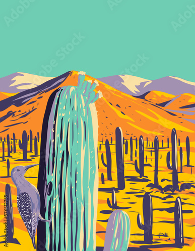 WPA poster art of a Gila woodpecker or Melanerpes uropygialis in Saguaro National Park located in Pima County, southeastern Arizona United States of America done in works project administration. photo