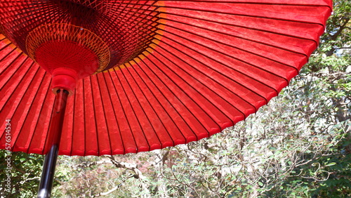 autumn leaves and Japanese umbrella