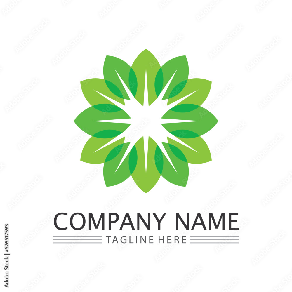 leaf logo design vector for nature symbol template editable,Green leaf logo ecology nature element vector icon.