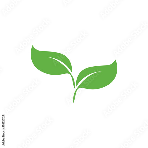 Leaf icon
