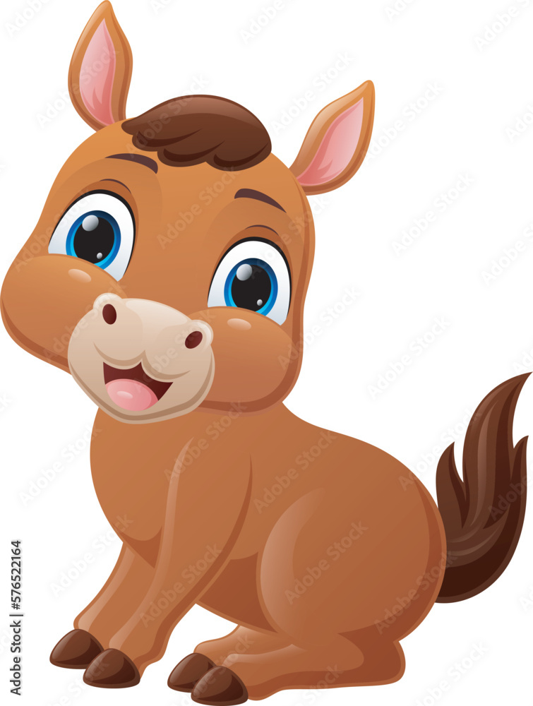 Cute baby horse cartoon on white background