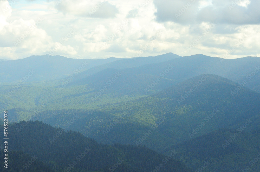 The tops of high mountains with a dense coniferous forest under a cloudy summer sky in the bright rays of the setting sun.