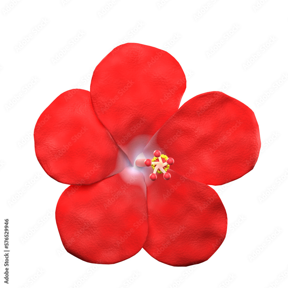 3d hibiscus flower illustration 3d hibiscus flower illustration