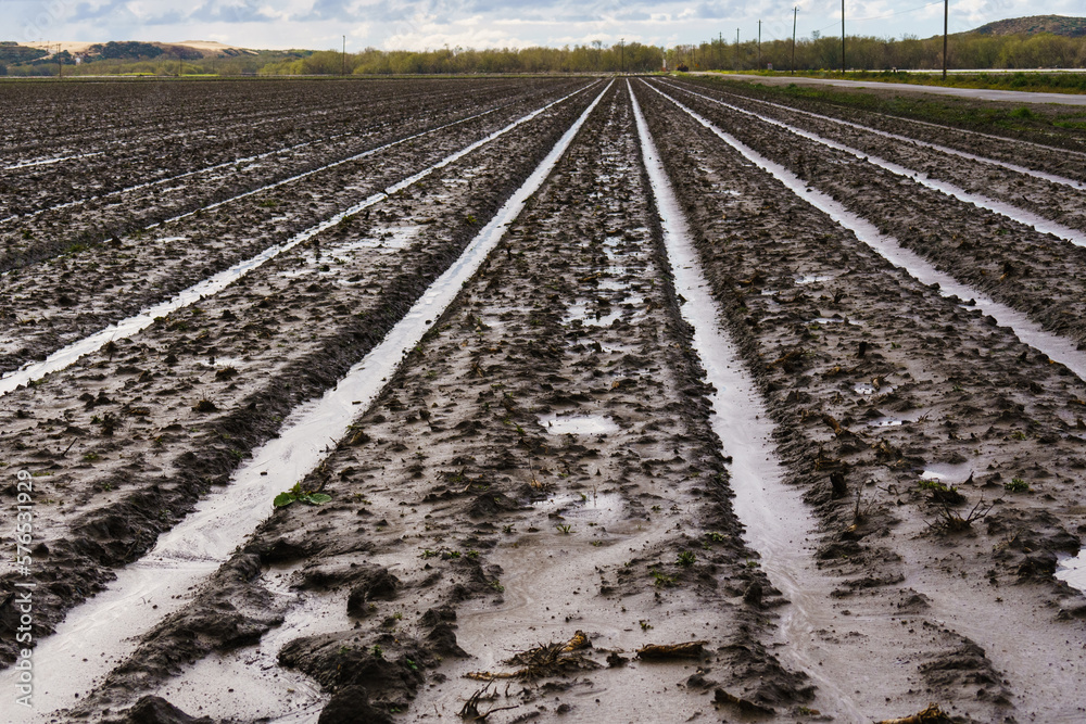 Agricultural field after the rain, deeply plowed before sowing seeds, California, early Spring Agricultural field after the rain, deeply plowed before sowing seeds, California, early Spring