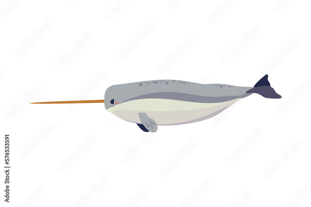 narwhal arctic animal