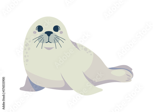 seal arctic animal