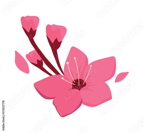 sakura flower icon