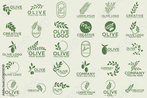 Green olives and organic oil symbols isolated on white background, such a logo template