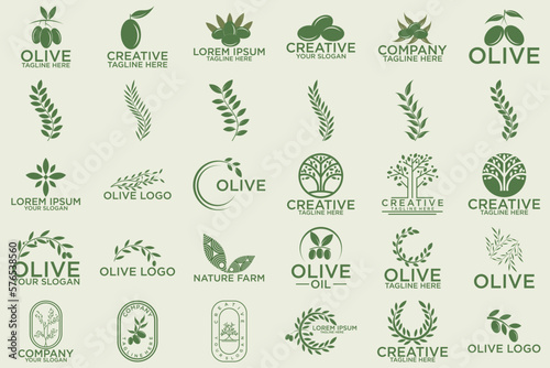 Green olives and organic oil symbols isolated on white background, such a logo template