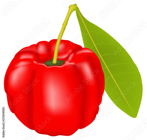 Hyper realistic vector illustration of red acerola fruit