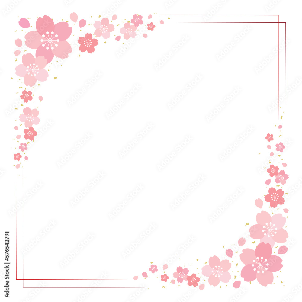 桜の花と細ラインの四角フレーム 背景 バナー/正方形・赤