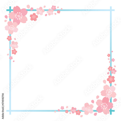 桜の花とグラデーションラインの四角フレーム 背景 バナー/正方形・水色