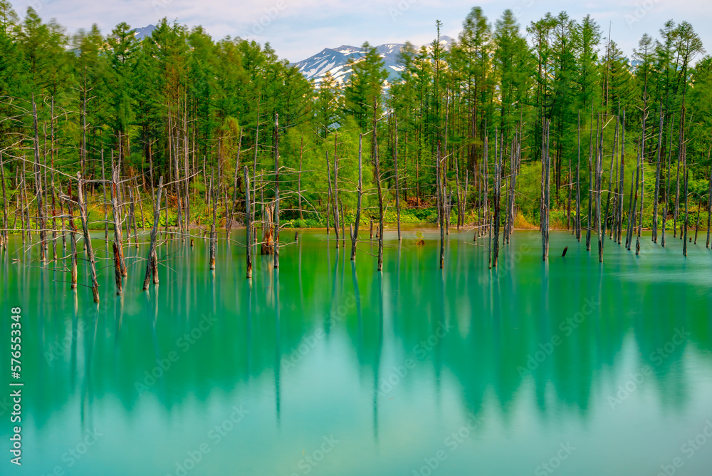 Blue pond (Aoiike) with reflection of tree in summer, located near Shirogane Onsen in Biei Town, Hokkaido, Japan 