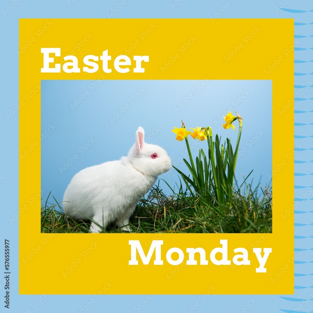 Obraz premium Image of easter monday text over rabbit on grass on blue background