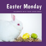 Image of easter monday text over rabbit with easter eggs on white background