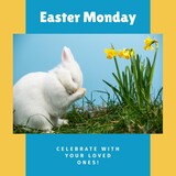 Image of easter monday text over rabbit on grass on blue background