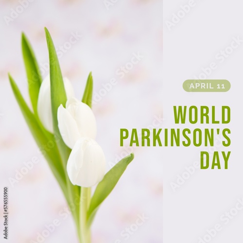 Image of world parkinson's day text over white tulips with copy space